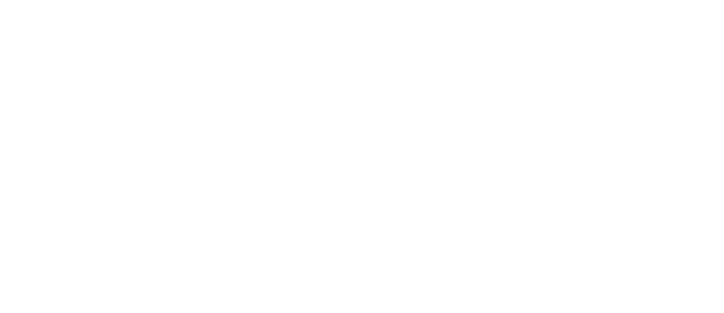 BWT Logo weiß