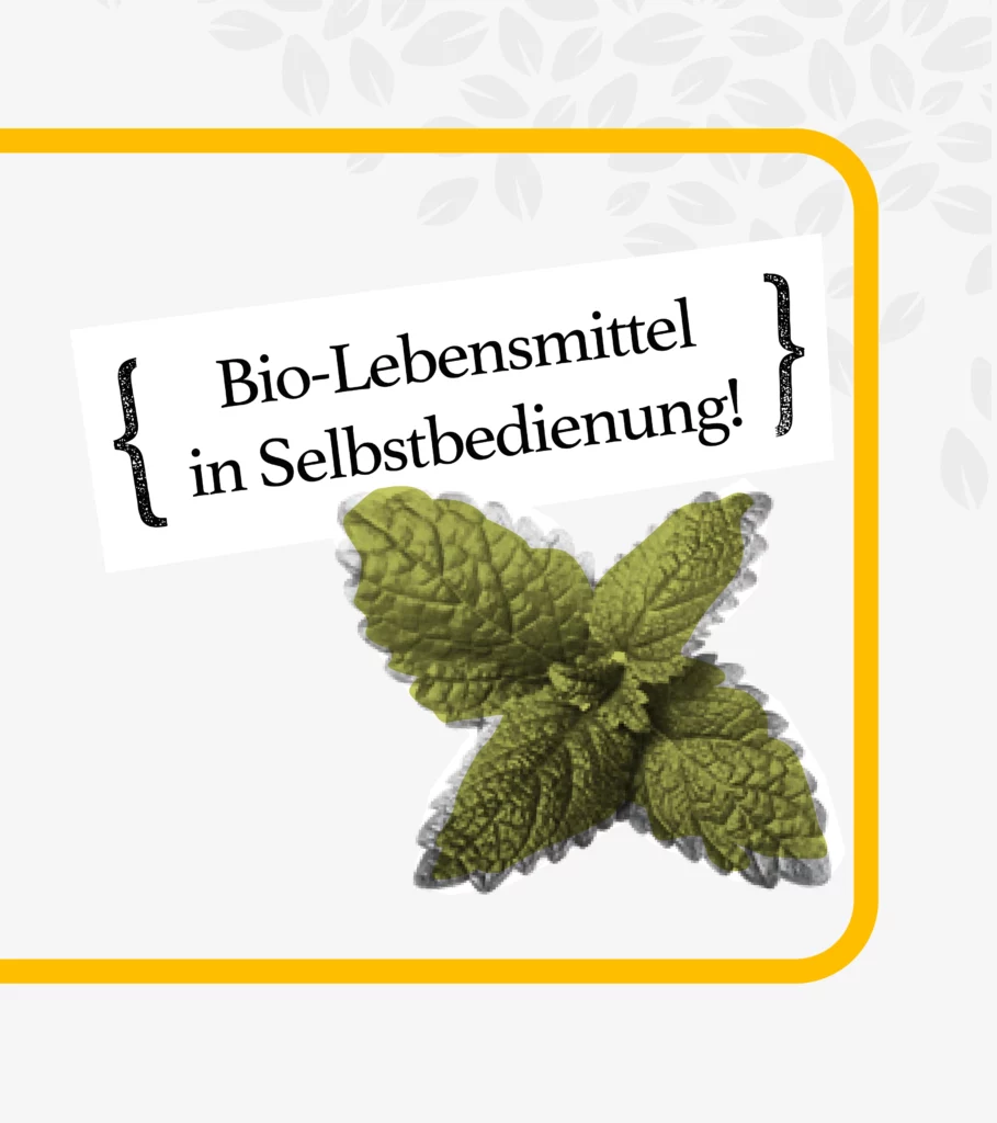 Layout Baustein zur Gestaltung der Website es zeigt Illustrationen von einem Minzblatt gefolgt von den Wörtern "Bio-Lebensmittel in Selbstbedienung!"