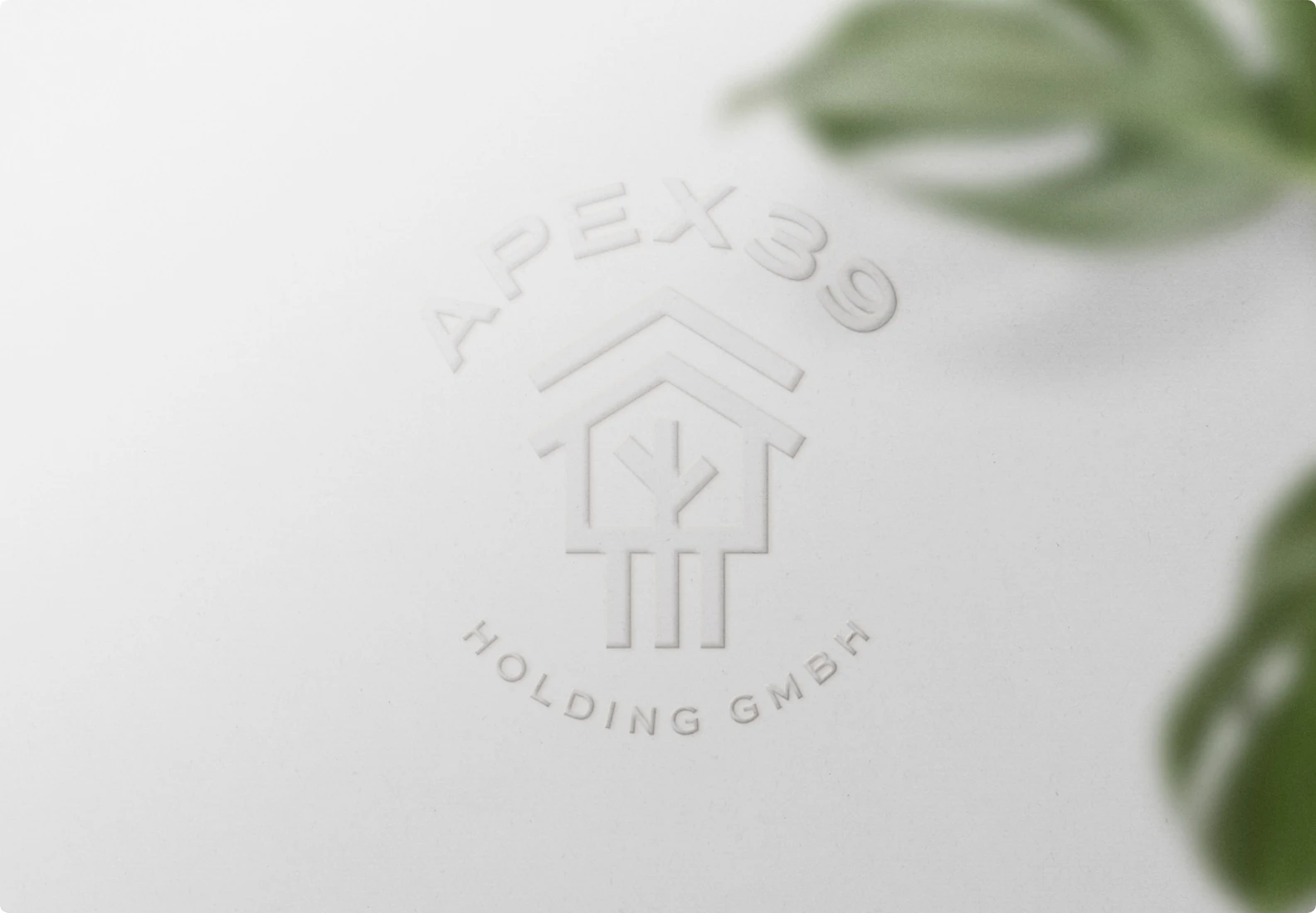 Logo Visualisierung Apex Holding GmbH