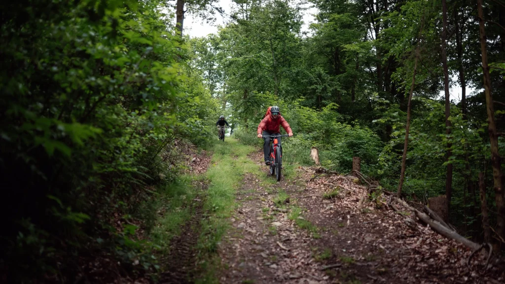 Mountainbike Downhill Abfahrt nahe der Schlögener Schlinge.