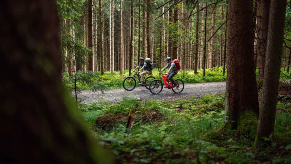 2 Mountainbiker fahren durch ein Waldstück, die Sonne scheint dabei durch die Baumwipfel.